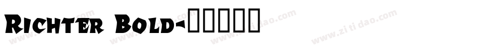 Richter Bold字体转换